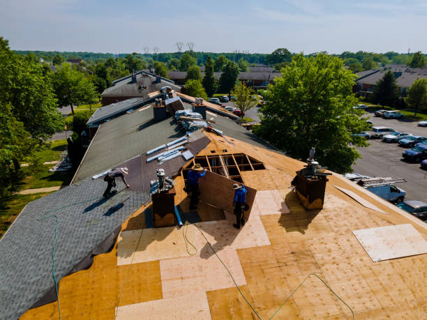 Best Flat Roof Repair Services  in Hale Center, TX